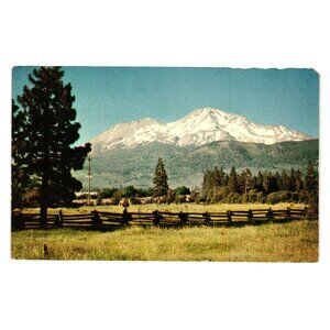 Mount Shasta Postcard Scenic View Glacier Volcano Vintage Collectible Roadside